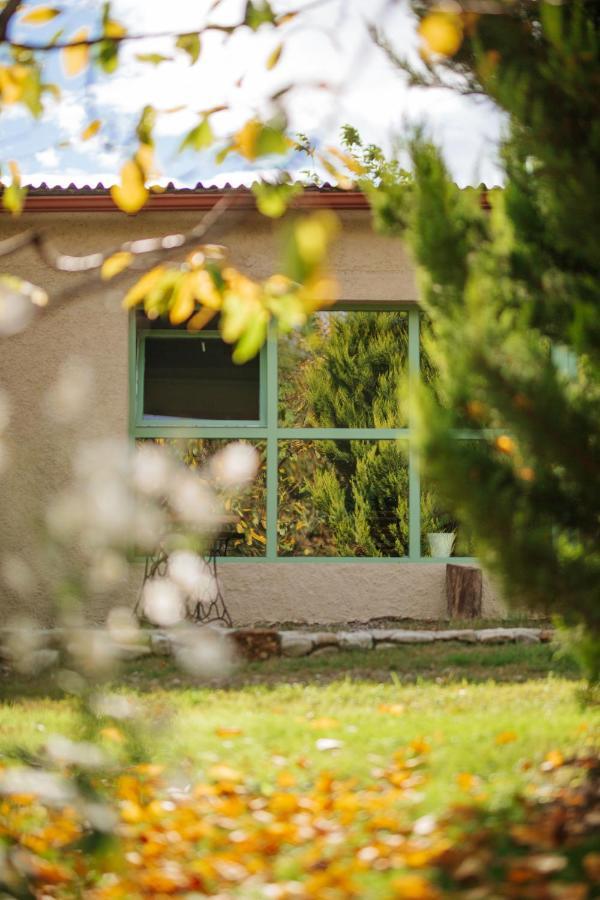 Casa Akacia Otel Telavi Dış mekan fotoğraf